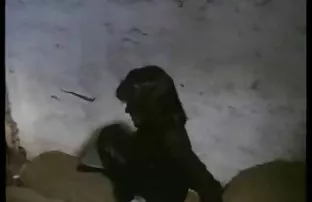 XXX seviyor, Bu, bir erkekle ilişkiden maksimum memnuniyeti beraberinde türkçe sesli sex getiriyor