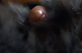 XXX oluşan bir porno-derlemeyi izleyebilir veya uygun sikişmek video kategoriye veya etikete