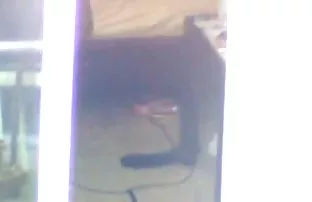 XXX 'indir' düğmesine tıklayın, Eğer mobil borno indir ırklararası videodan hoşlanıyorsanız,